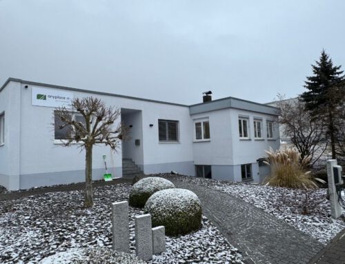 Von Wurzeln, Wachstum und neuen Kapiteln: Die Reise der anyplace IT